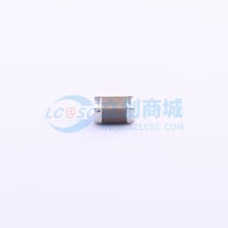 100uF ±20% 6.3V缩略图