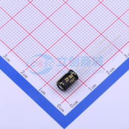 黑 100uF -10%~+20% 10V【引线】缩略图