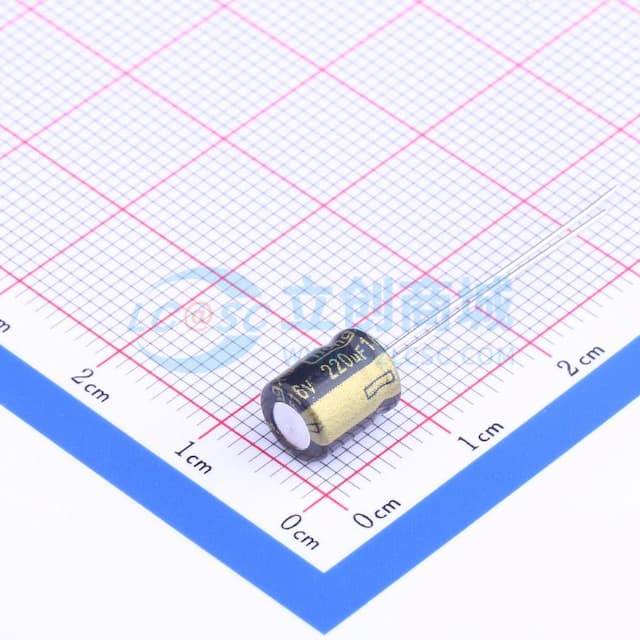黑 220uF ±20% 16V【引线】实物图