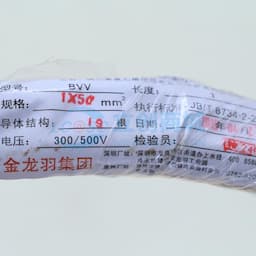 金龙羽 铜芯聚氯乙烯绝缘电线 红 50 mm2 BVV 50缩略图