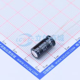 100uF ±20% 63V 【插件】缩略图