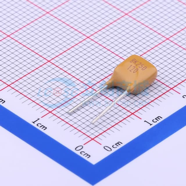 250V 120mA 插件自恢复 【PT】实物图