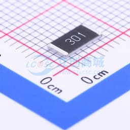 300Ω ±5% 2W 厚膜电阻缩略图