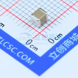 100uF ±20% 10V缩略图