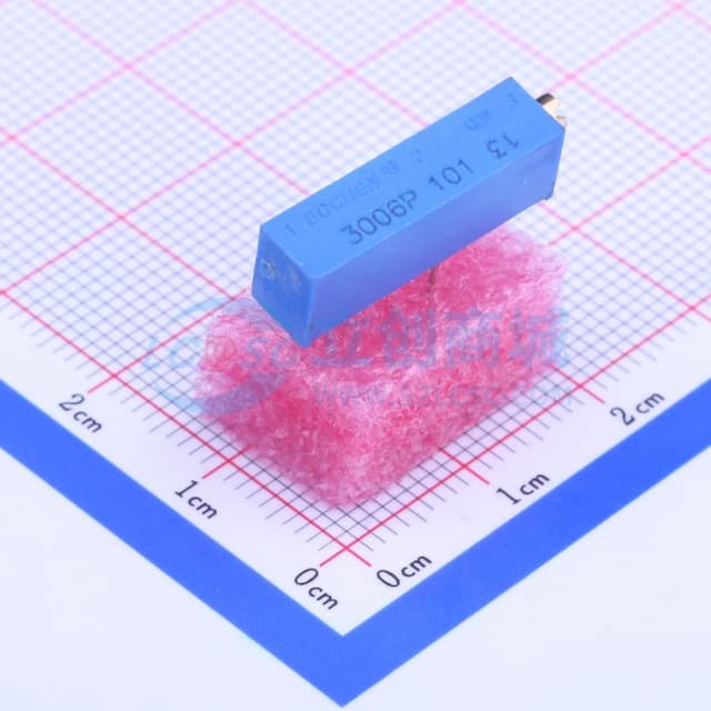 100Ω ±10% 【插件】实物图