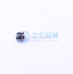 100uF ±20% 16V 【引线】缩略图