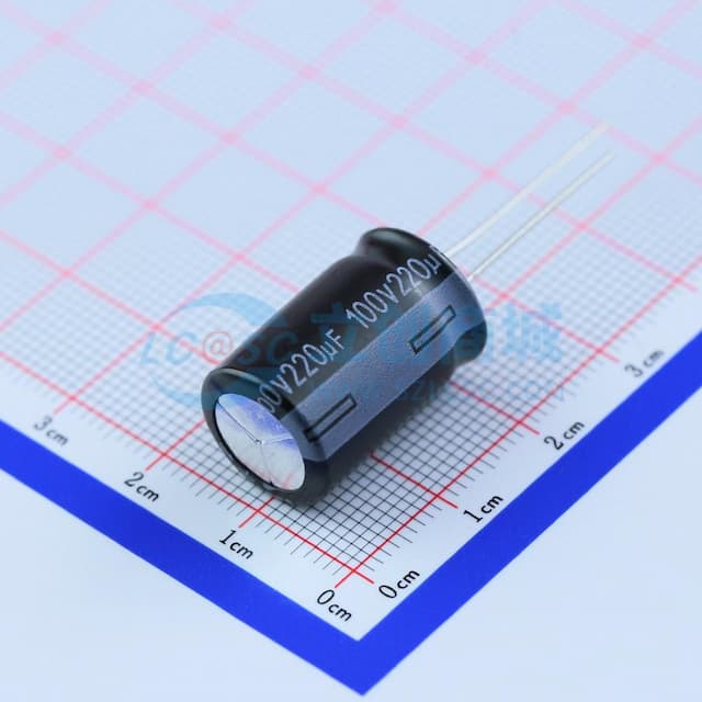 220uF ±20% 100V 【引线】实物图