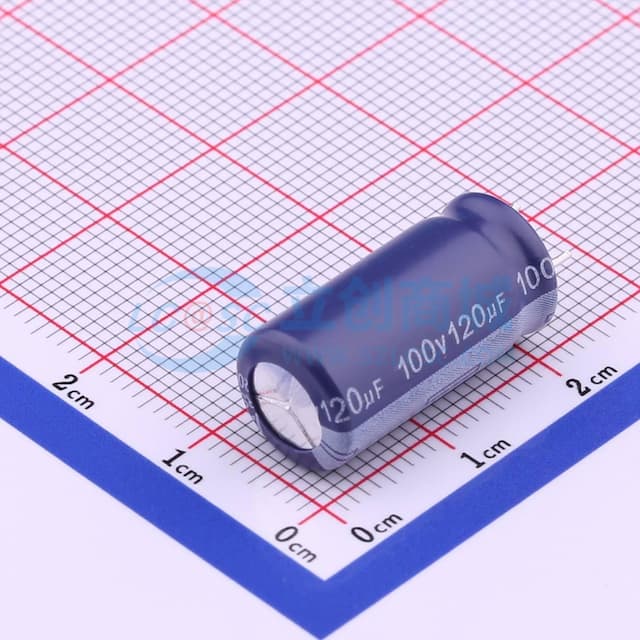 120uF ±20% 100V 【引线】实物图