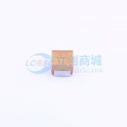 100uF ±10% 6.3V缩略图