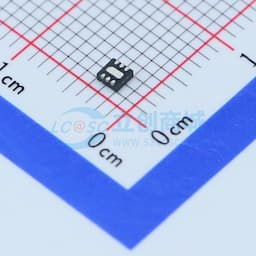 采用 2 x 2 DFN 封装的低噪声稳压充电泵缩略图