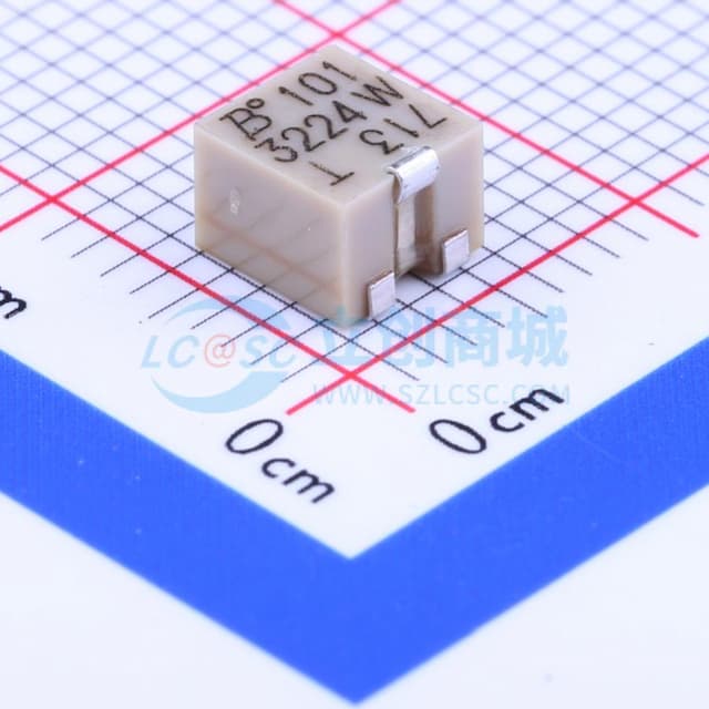100Ω ±10%实物图