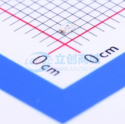 D-060306R1/SS2/L缩略图