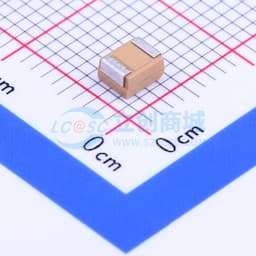 100uF ±10% 6.3V缩略图