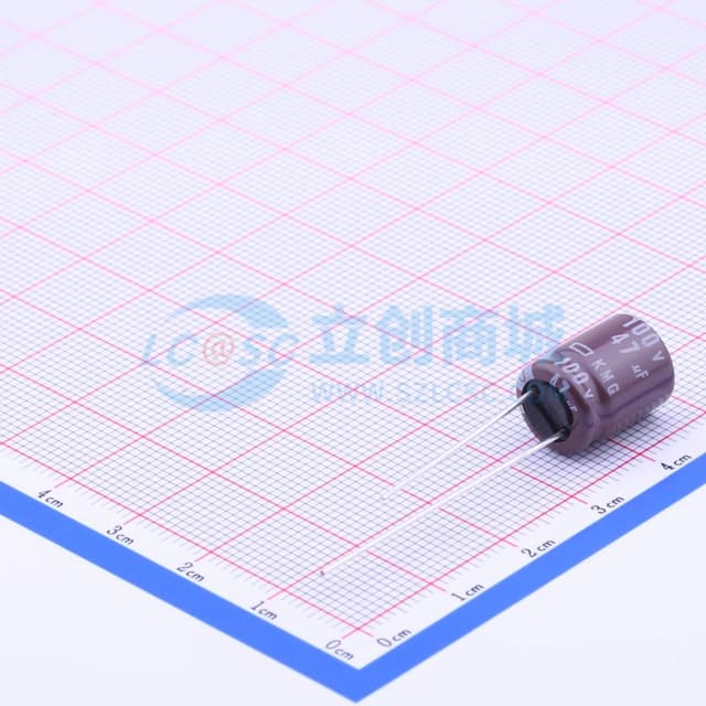 47uF ±20% 100V 【引线】实物图