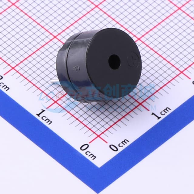 无源(外部驱动) 电磁式 2.048kHz实物图