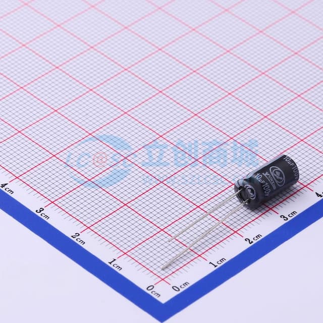 10uF ±20% 100V 【引线】实物图