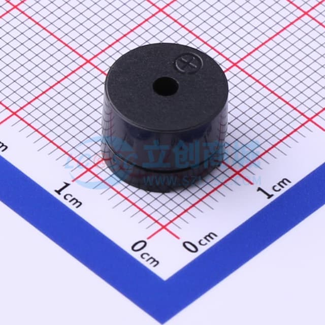 无源(外部驱动) 电磁式 2.048kHz实物图