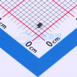 BAS 52-02V H6327缩略图