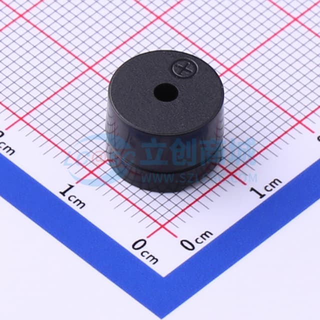 无源(外部驱动) 电磁式 2.048kHz实物图