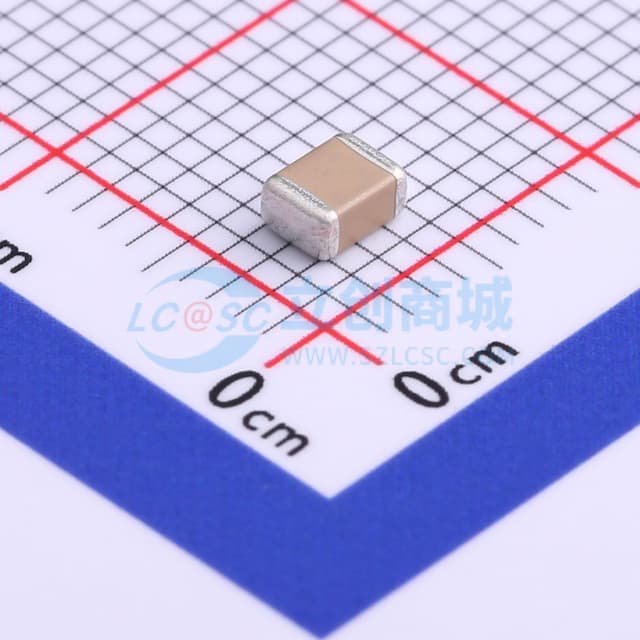 220pF ±10% 2kV实物图