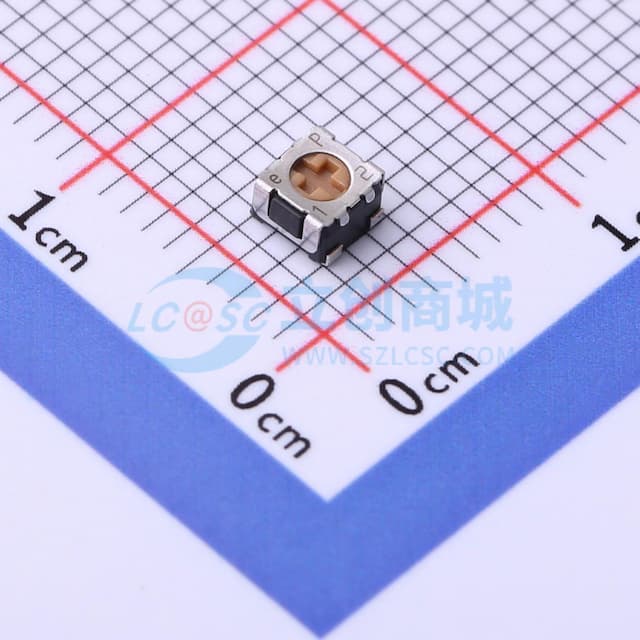 100Ω ±20%实物图