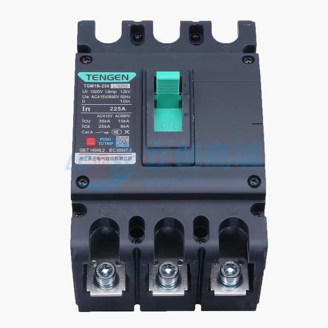 TENGEN(天正电气）TGM1N(祥云3.0)系列塑壳断路器 TGM1N-250L/3300 225A实物图
