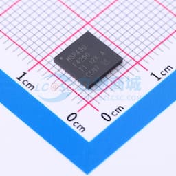 具有 1 个 16 位 Σ-Δ ADC、12 位 DAC、56 段 LCD、16KB 闪存、256B RAM 的 8MHz 感应 MCU缩略图