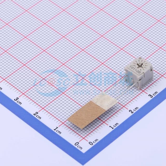 100Ω ±10%实物图