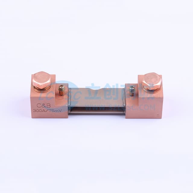 0.25mΩ ±0.1%实物图