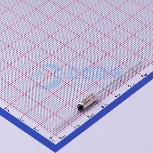 250V 10A 【插件】实物图
