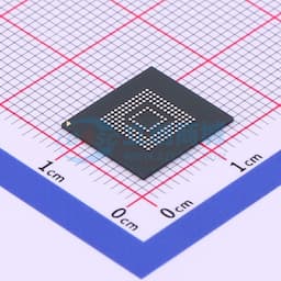 SDINBDG4-8G缩略图