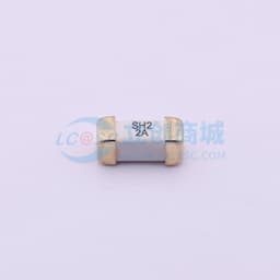 250V贴片式保险丝缩略图