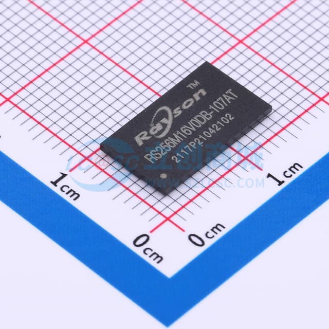 RS256M16V0DB-107AT实物图