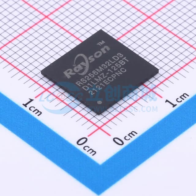 RS256M32LD3D1LMZ-125BT实物图