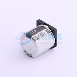 100uF ±20% 100V 【手工焊接】缩略图