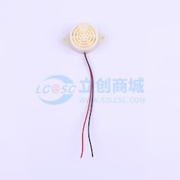 压电式24V 3000HZ缩略图