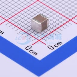 220uF ±20% 6.3V缩略图