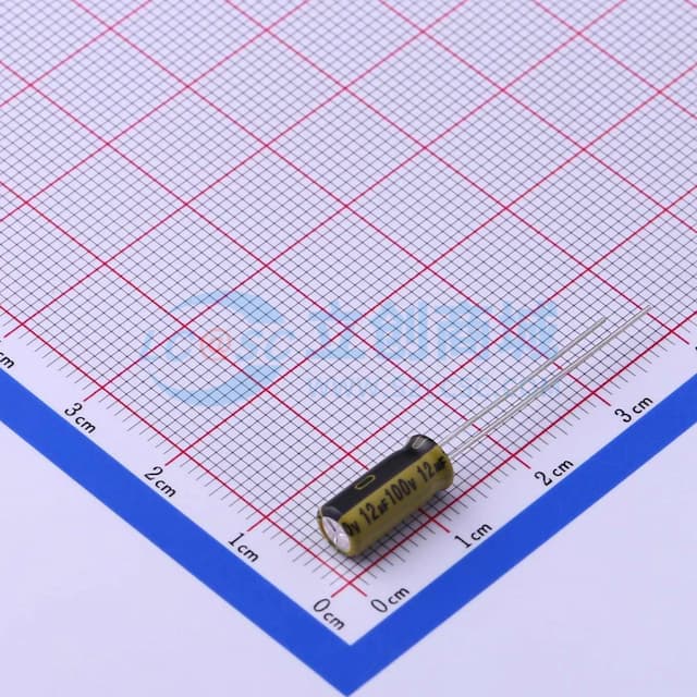12uF ±20% 100V 【引线】实物图