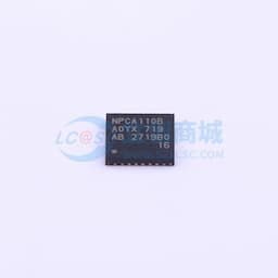 NPCA110BA0YX缩略图