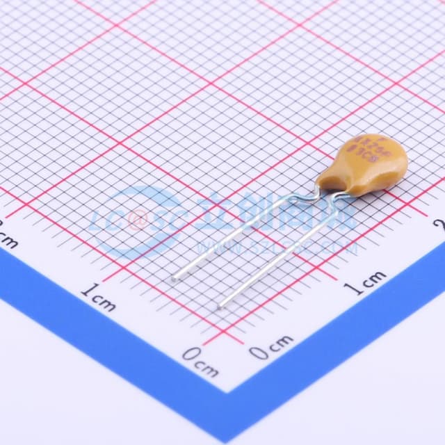 72V 250mA 插件自恢复 【PT】实物图