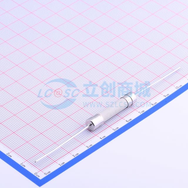 陶瓷管保险丝 【保险】实物图