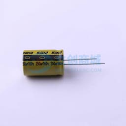 250uF ±20% 160V缩略图