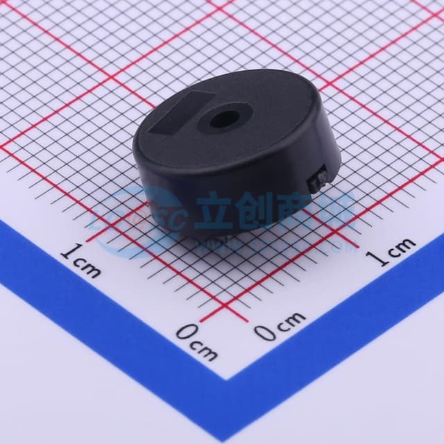 ETC专供SFN-1255-0540-16P6.5 【蜂鸣】实物图