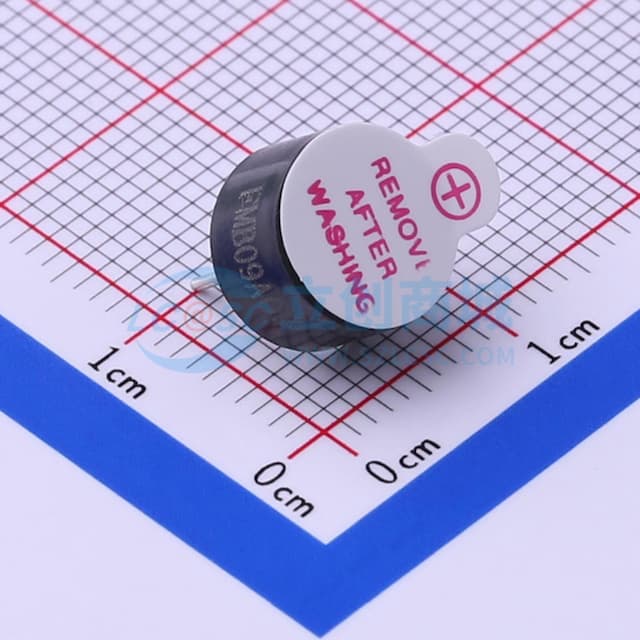 电磁式3V 2700HZ 【蜂鸣】实物图