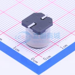 47uF ±20% 80V缩略图
