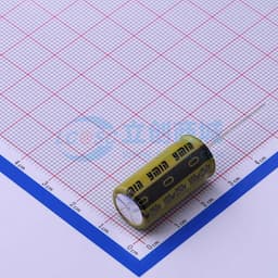 100uF ±20% 250V 【插件】缩略图