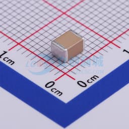 820nF ±10% 250V缩略图