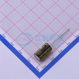 47uF ±20% 100V 【插件】缩略图