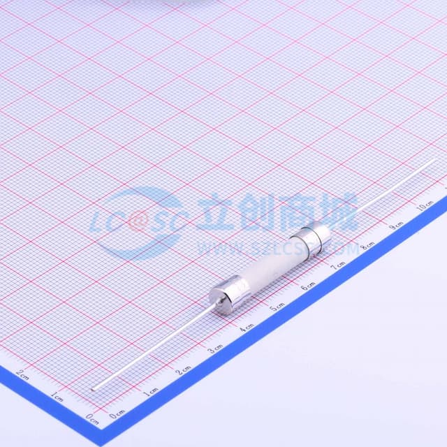 陶瓷管保险丝 【保险】实物图