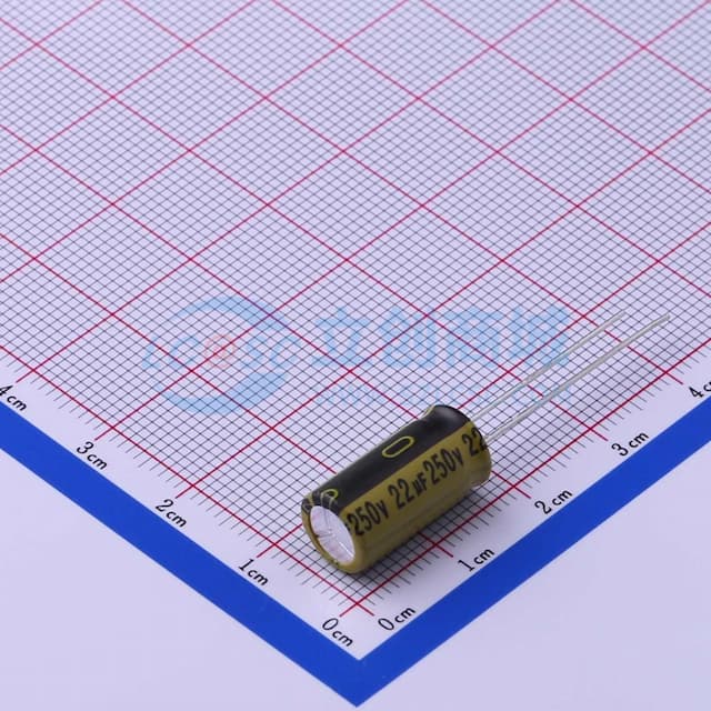 22uF ±20% 250V 【插件】实物图